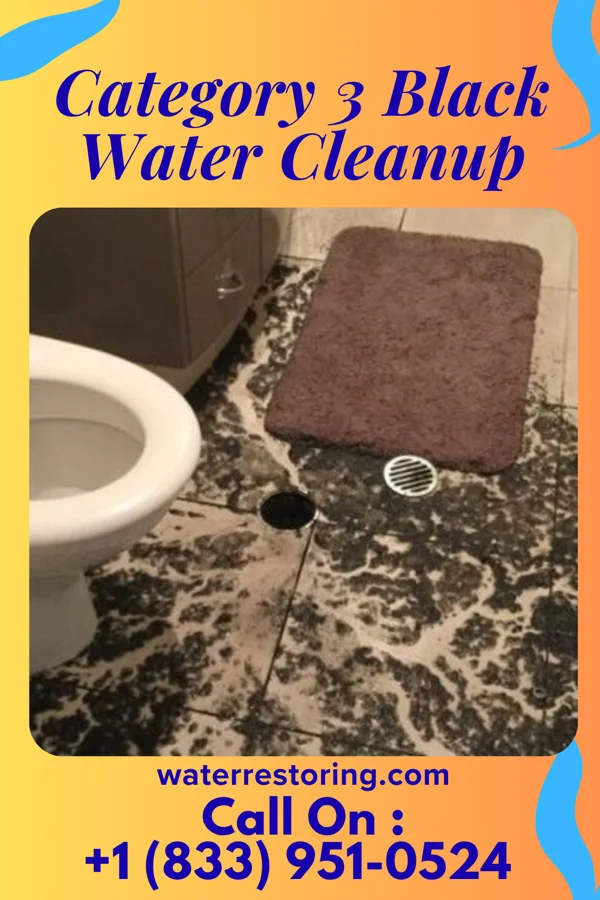 Category 3 Black Water Cleanup in Churchs Ferry, ND
