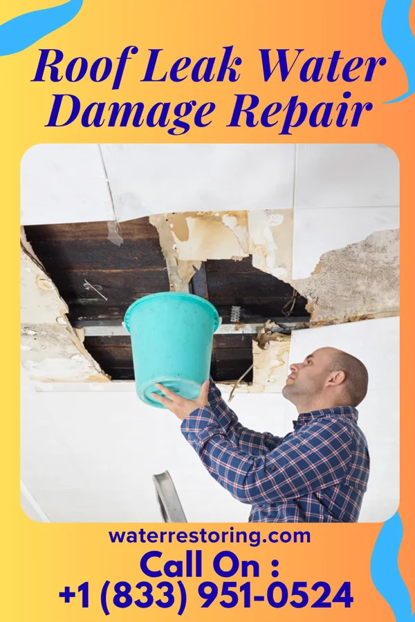 Roof Leak Water Damage Repair in Churchs Ferry, ND